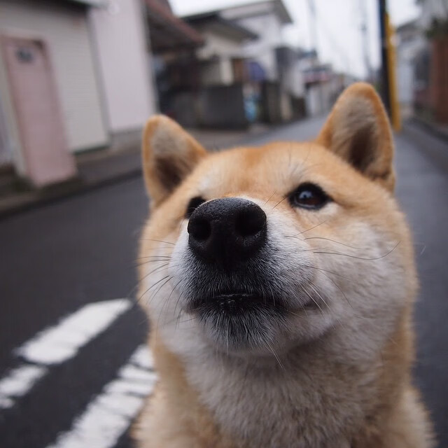 特色旱地马拉松，沙漠与丘陵的耐力对决，沙漠超级马拉松