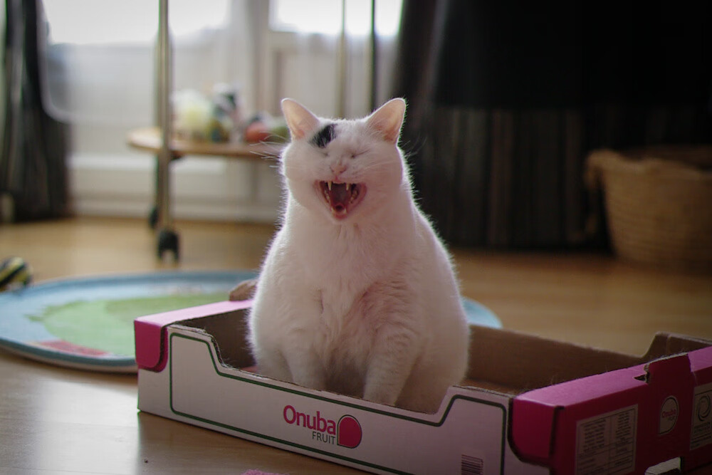 爱游戏官方入口-炉石传说 新扩展包带来新策略，炉石新的扩展包