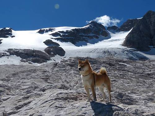 篮球职业联赛赛后数据分析报告发布，2021篮球职业联赛