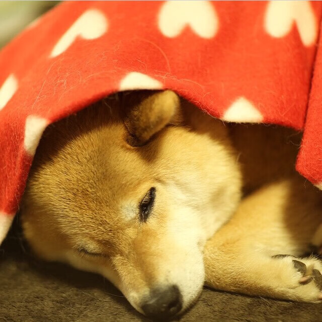 采用新技术提升篮球场地设施水平，新型篮球场