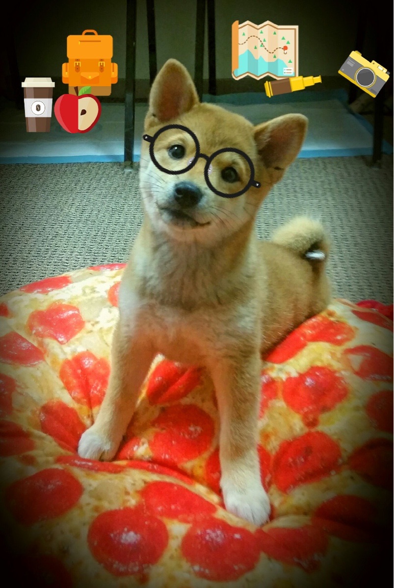 爱游戏在线-LCS春季赛正式打响，lcs赛区春季赛排名