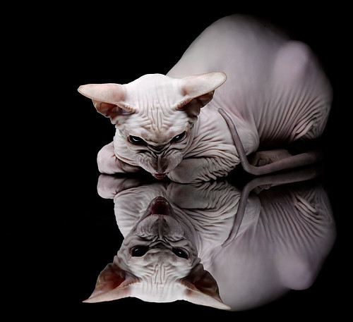 国际足球赛场风云再起：球场传奇，国际足球大赛