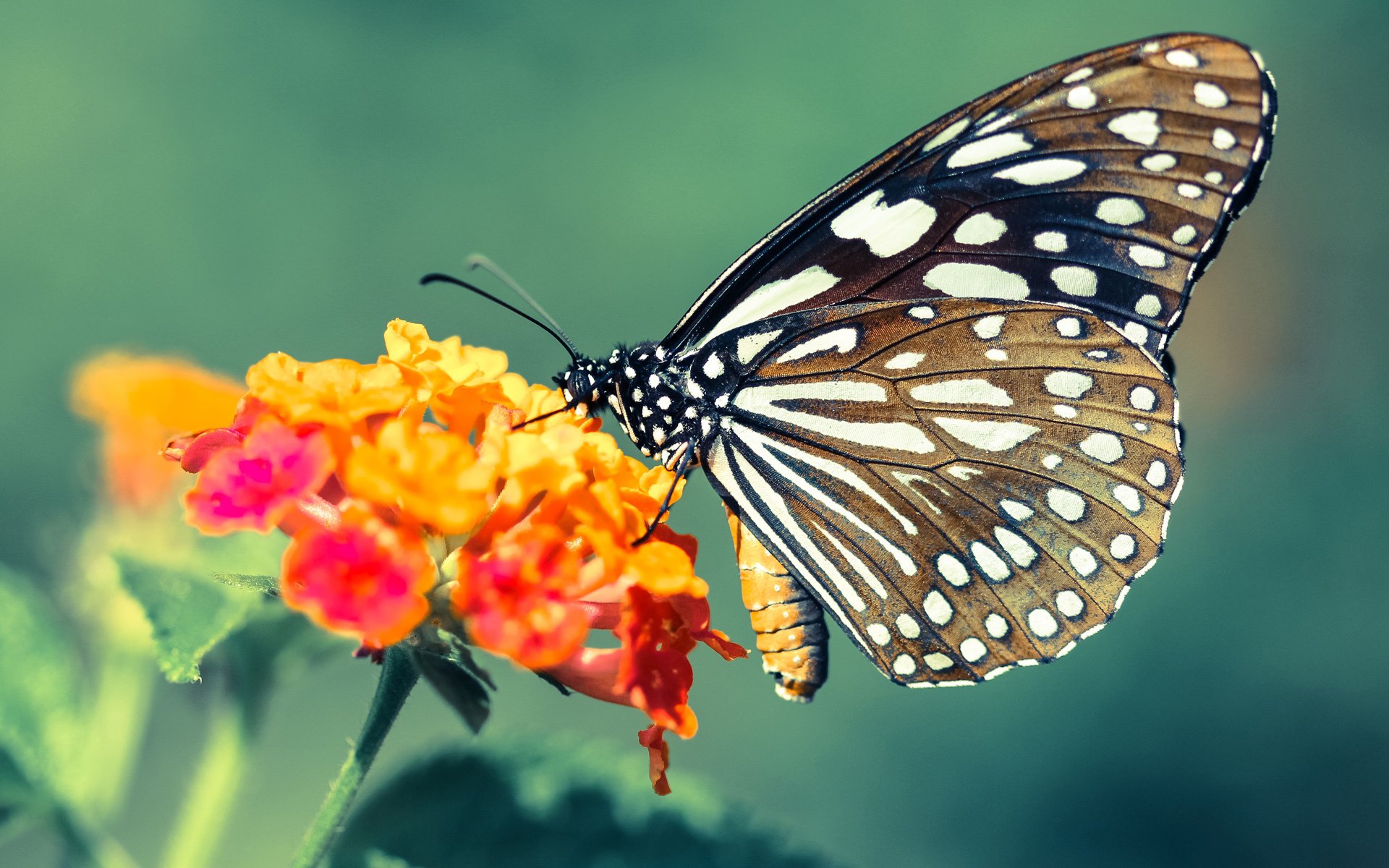 世界青少年冰壶锦标赛中国队再创佳绩，全国青年冰壶锦标赛