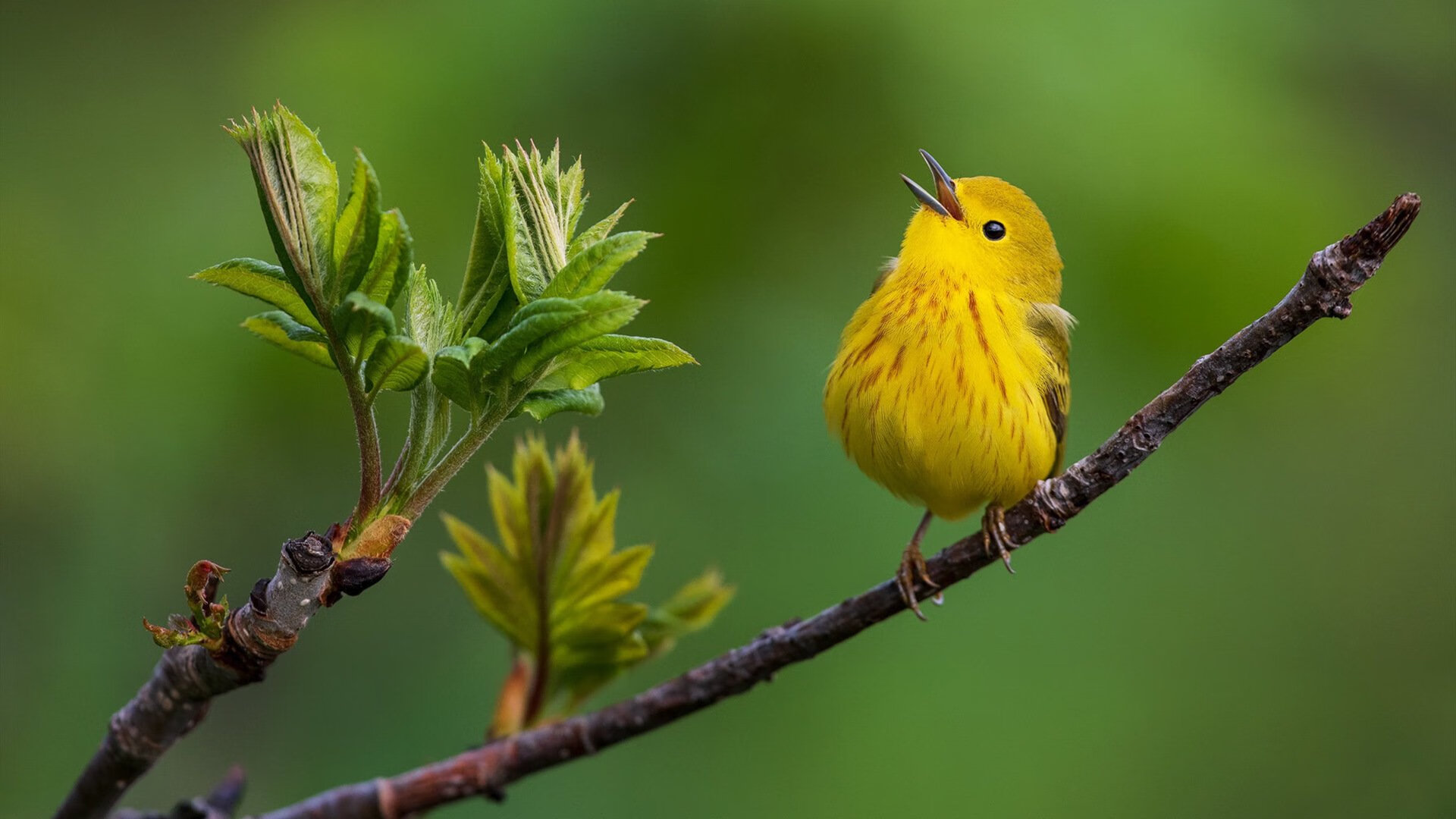 国足阵型压迫效率与失误数据对照，国足阵形