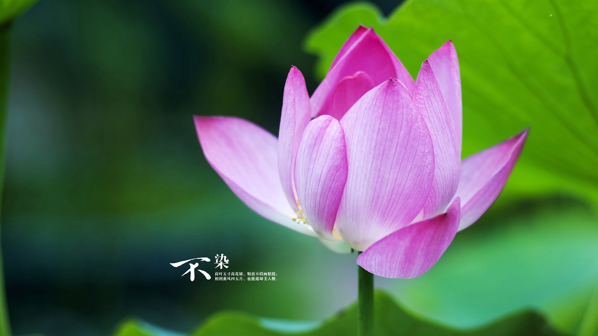 东亚杯中国足球战胜 球员心理素质提升，东亚杯中国队名单